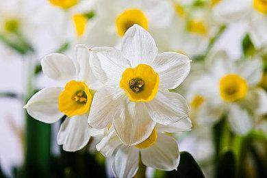 Major Nelson推特发布PS5促销信息被怒喷“叛徒”